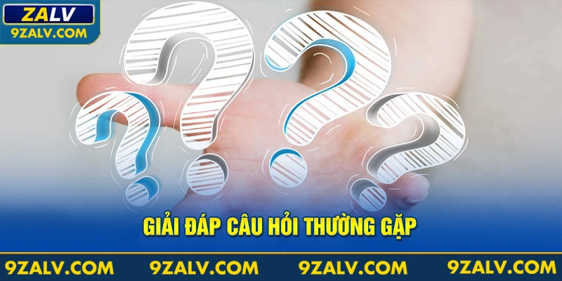 Giải đáp câu hỏi thường gặp