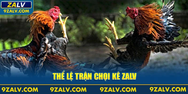 Thể lệ trận chọi kê ZALV