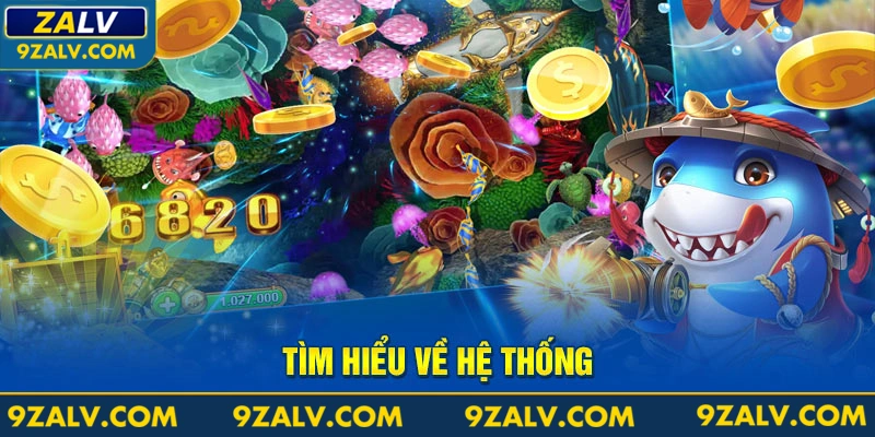 Tìm hiểu về hệ thống