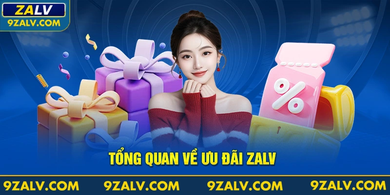 Tổng quan về ưu đãi Zalv