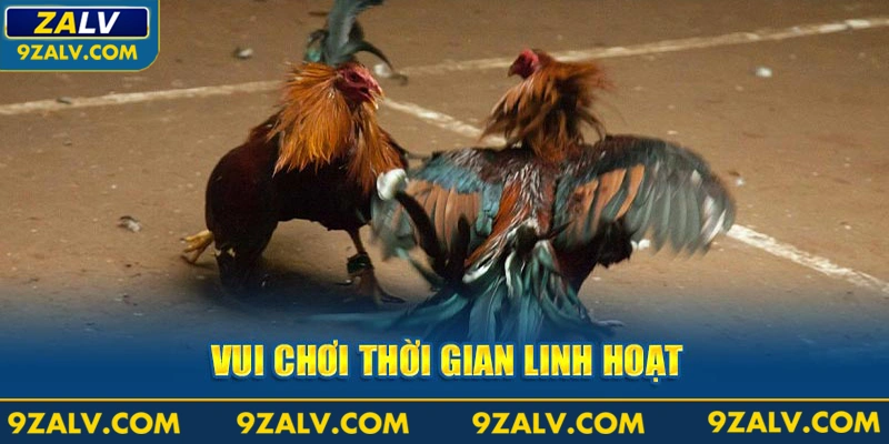 Vui chơi thời gian linh hoạt