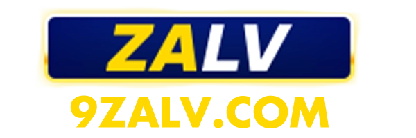 9zalv.com